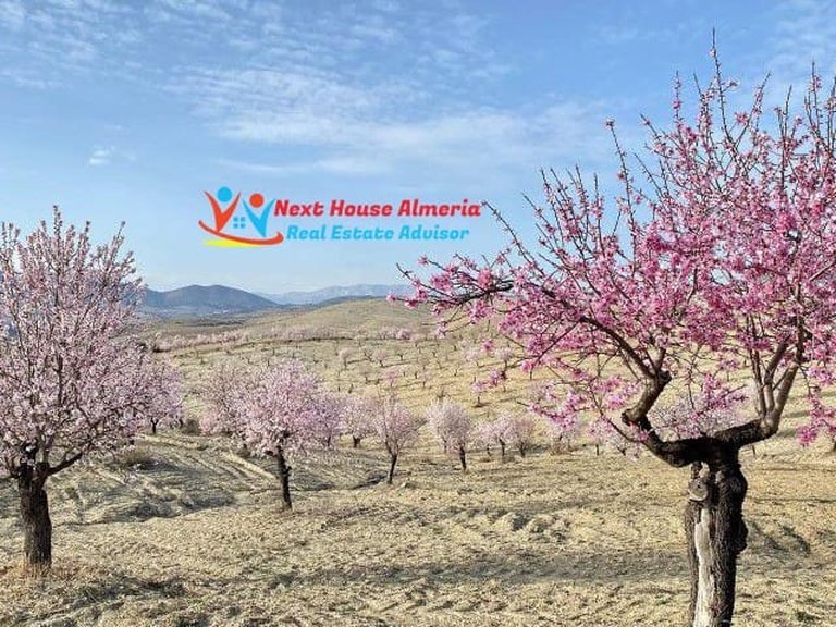 Country House for Sale in Taberno, Almeria 71