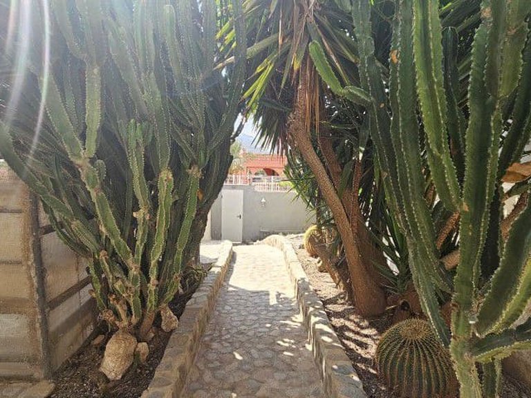 Country House for Sale in Aguilas, Murcia 59