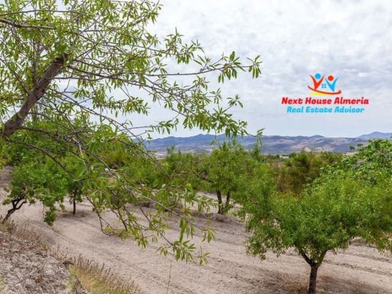 Country House for Sale in Vélez-blanco, Almeria 73