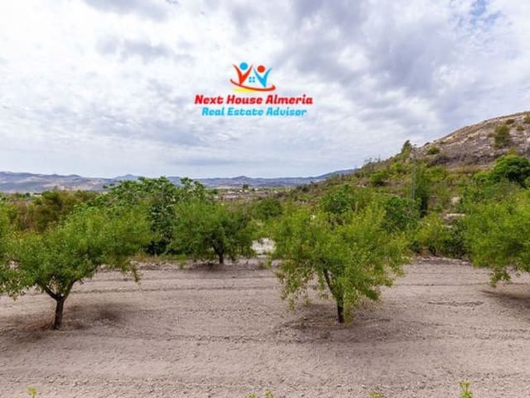 Country House for Sale in Vélez-blanco, Almeria 71