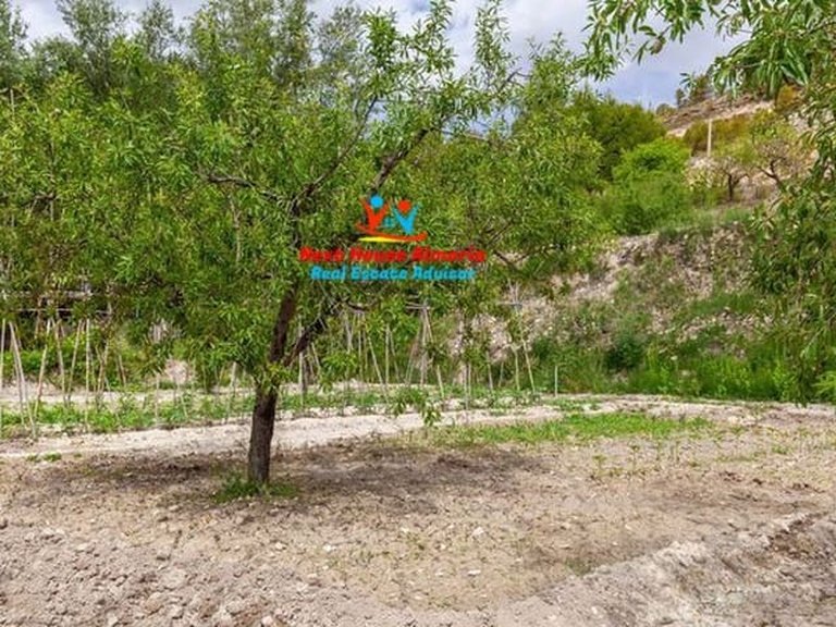 Country House for Sale in Vélez-blanco, Almeria 74