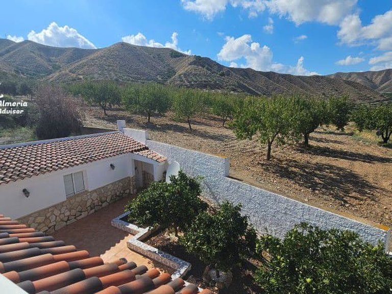 Villa for Sale in Arboleas, Almeria 80