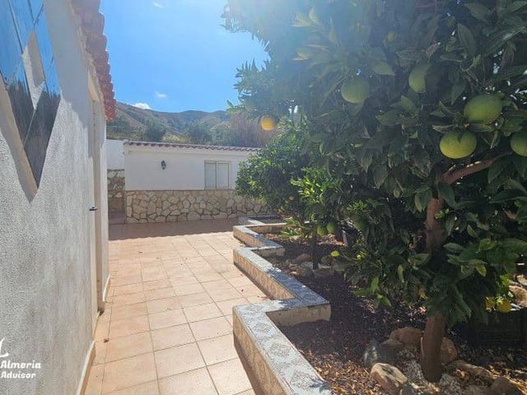 Villa for Sale in Arboleas, Almeria 15