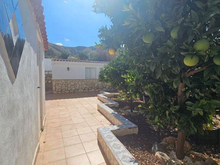 Villa for Sale in Arboleas, Almeria 15