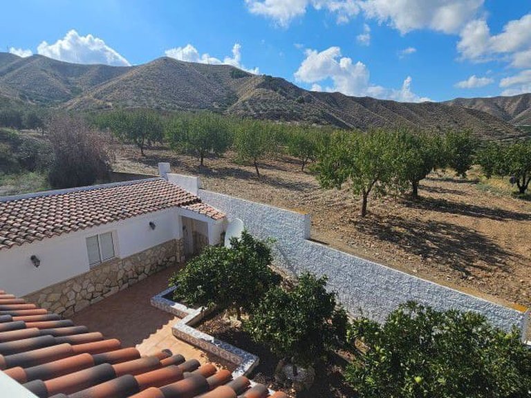 Villa for Sale in Arboleas, Almeria 72