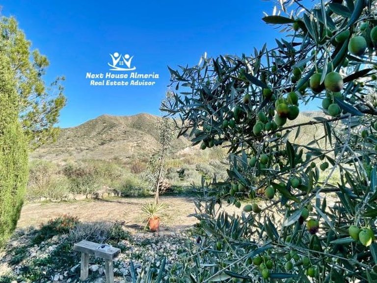 Country House for Sale in Almanzora, Almeria 9