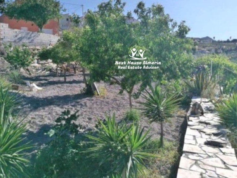 Country House for Sale in Cantoria, Almeria 43