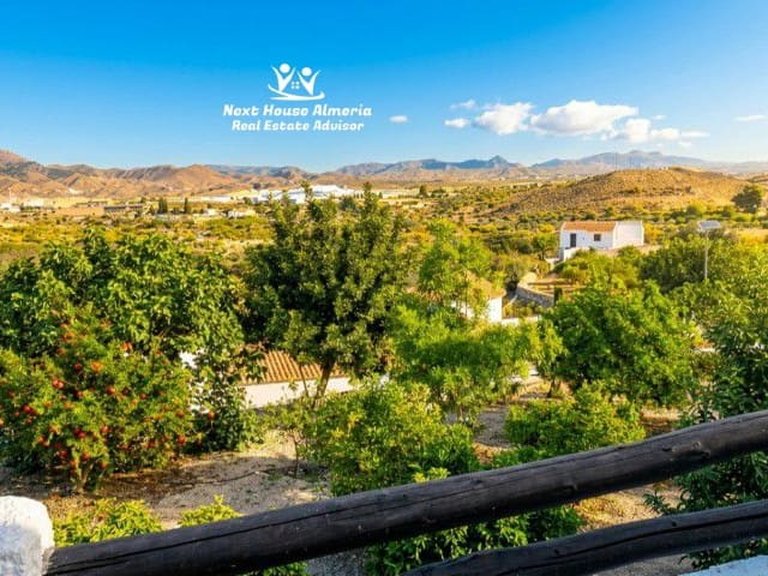 Country House for Sale in Cantoria, Almeria 5