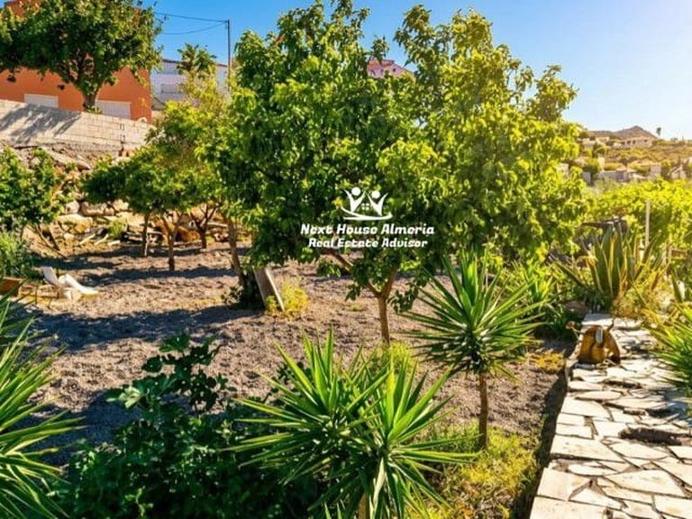 Country House for Sale in Cantoria, Almeria 3