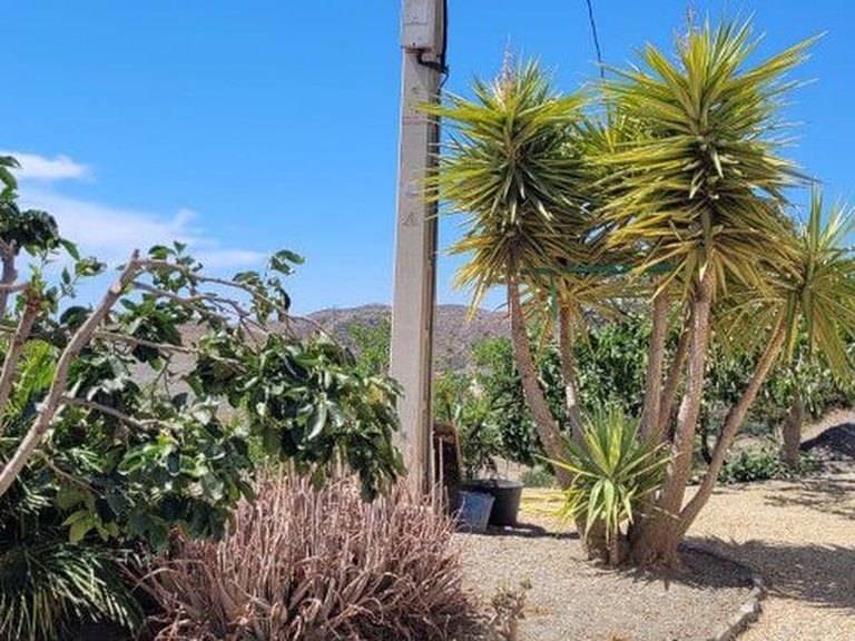 Country House for Sale in Taberno, Almeria 54
