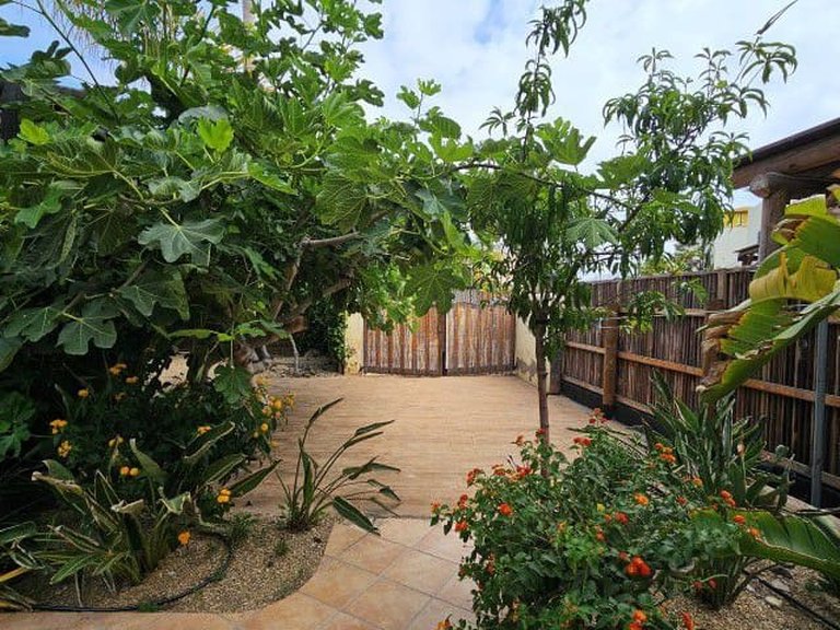 Villa for Sale in Vera, Almeria 88