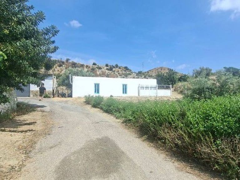 Country House for Sale in Arboleas, Almeria 4