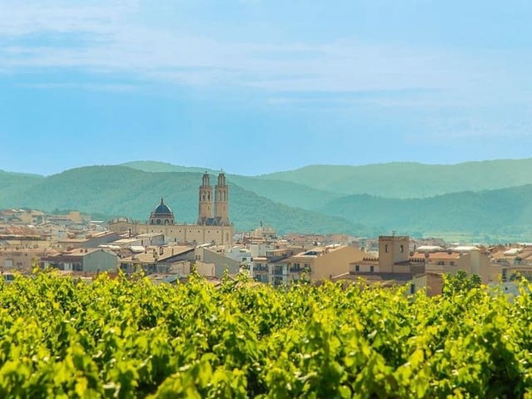 Villa for Sale in Sant Pere De Ribes Barcelona 21