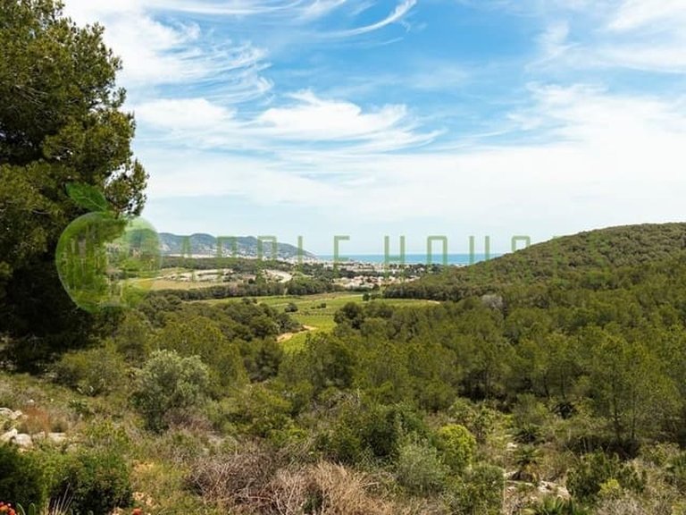 Villa for Sale in Sant Pere De Ribes Barcelona 5