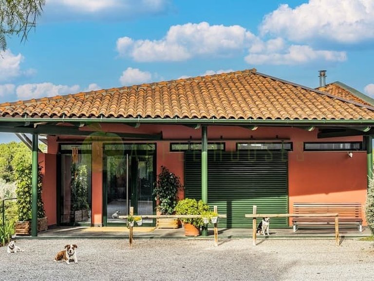Villa for Sale in Sant Martí Sarroca Barcelona 8