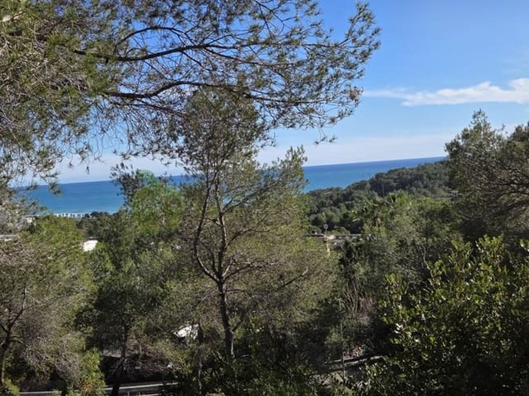 Plot for Sale in Sitges Barcelona 9
