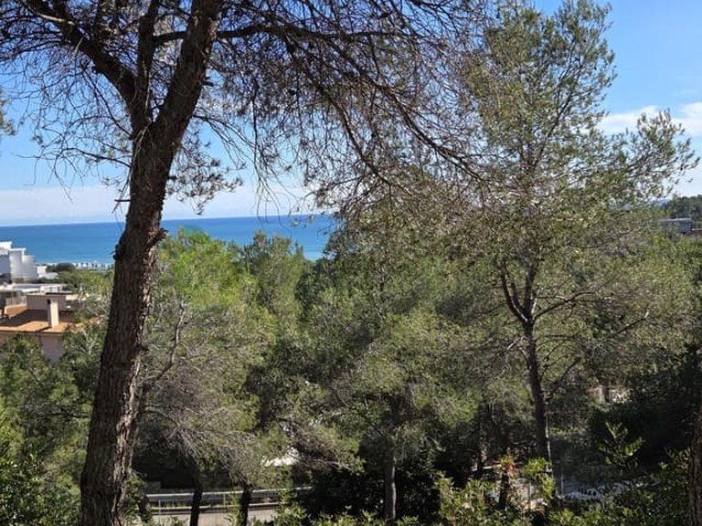 Plot for Sale in Sitges Barcelona 10