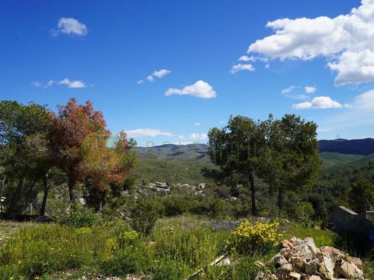 Plot for Sale in Sant Pere De Ribes Barcelona 2