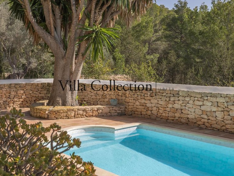 Villa for Sale in Sant Josep De Sa Talaia, Balearic Islands 35