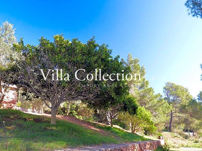 Villa for Sale in Ibiza, Balearic Islands 26