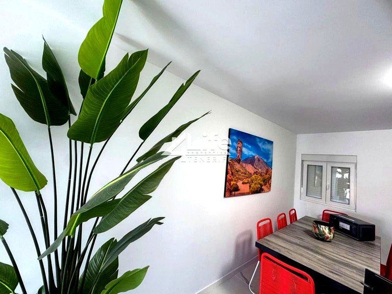 Apartment for Rent in El Monte O Guargacho, Tenerife 11