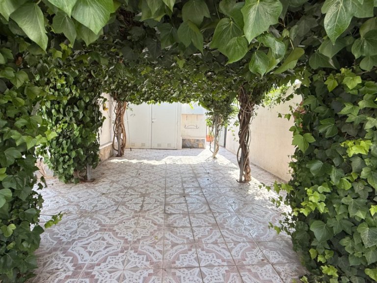 Town House for Sale in Costa Blanca Torrevieja, Alicante 20