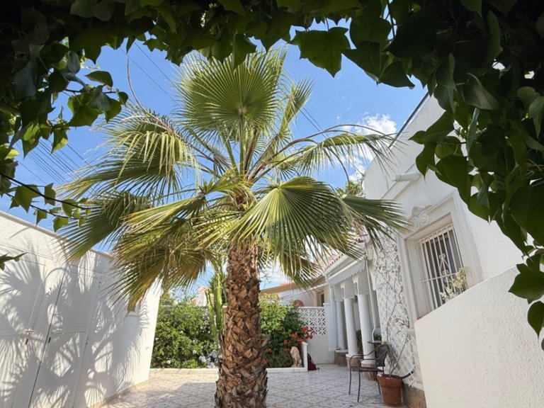 Town House for Sale in Costa Blanca Torrevieja, Alicante 21