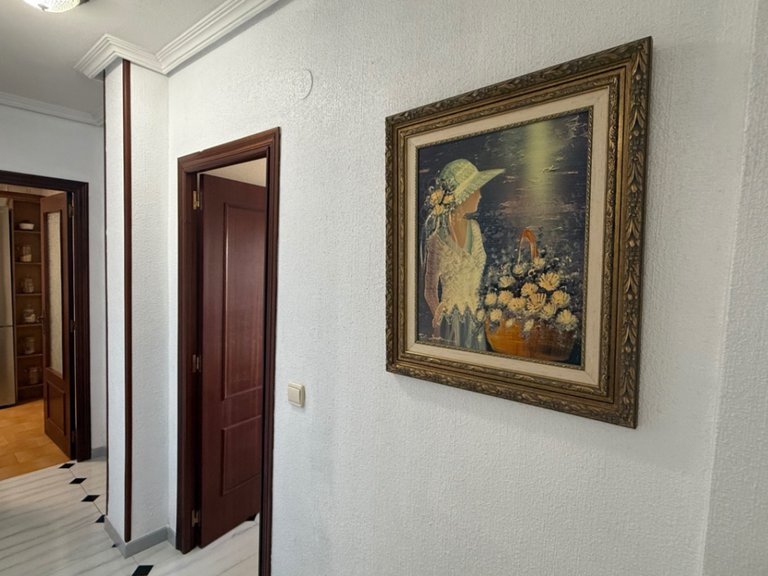 Apartment for Sale in Costa Blanca Torrevieja, Alicante 18