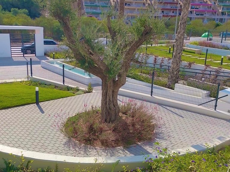 Apartment for Sale in Inland Orihuela, Alicante 17