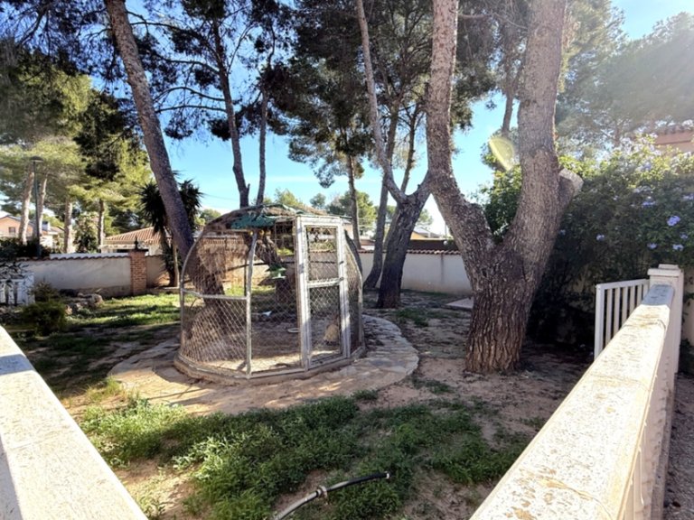 Villa for Sale in Costa Blanca Pilar De La Horadada, Alicante 48