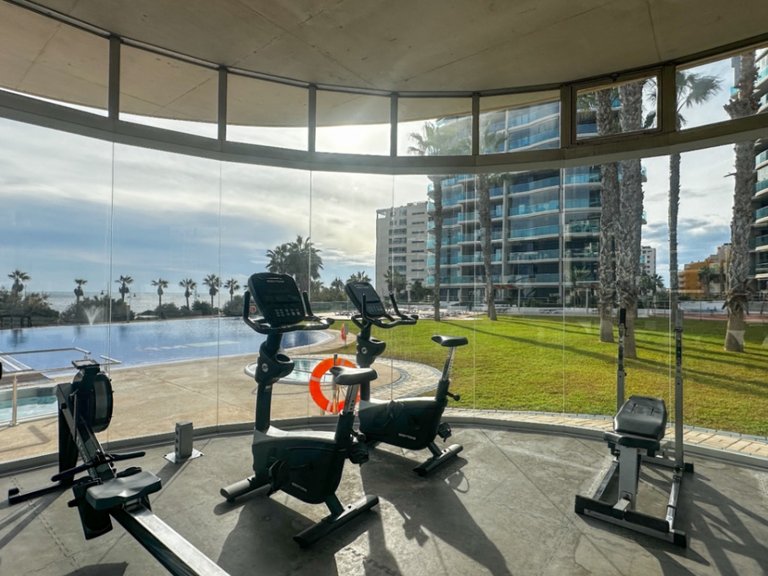 Apartment for Sale in Costa Blanca Torrevieja, Alicante 38