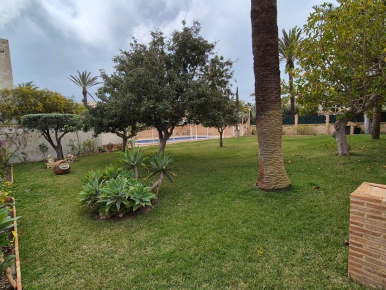 Villa for Sale in Inland Orihuela, Alicante 11