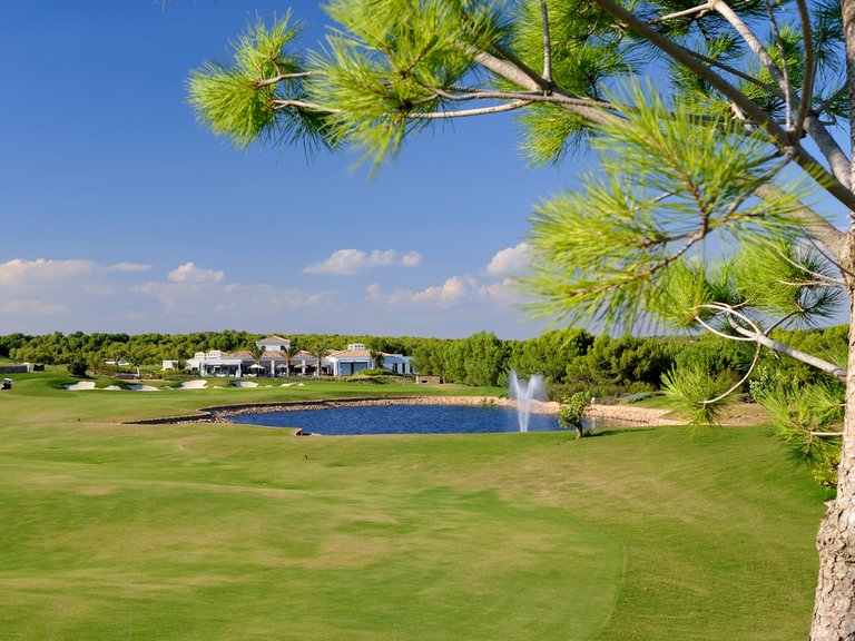 Villa for Sale in Las Colinas Golf, Alicante 19