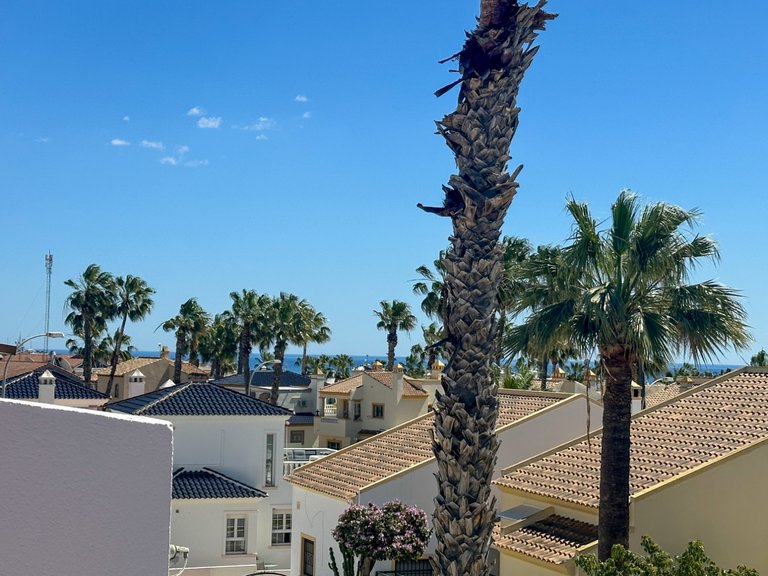 Town House for Sale in Orihuela Costa, Alicante 33