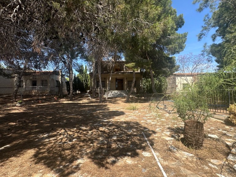 Villa for Sale in Costa Blanca Torrevieja, Alicante 3