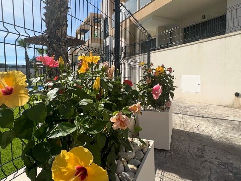 Apartment for Sale in Costa Blanca Orihuela Costa, Alicante 38
