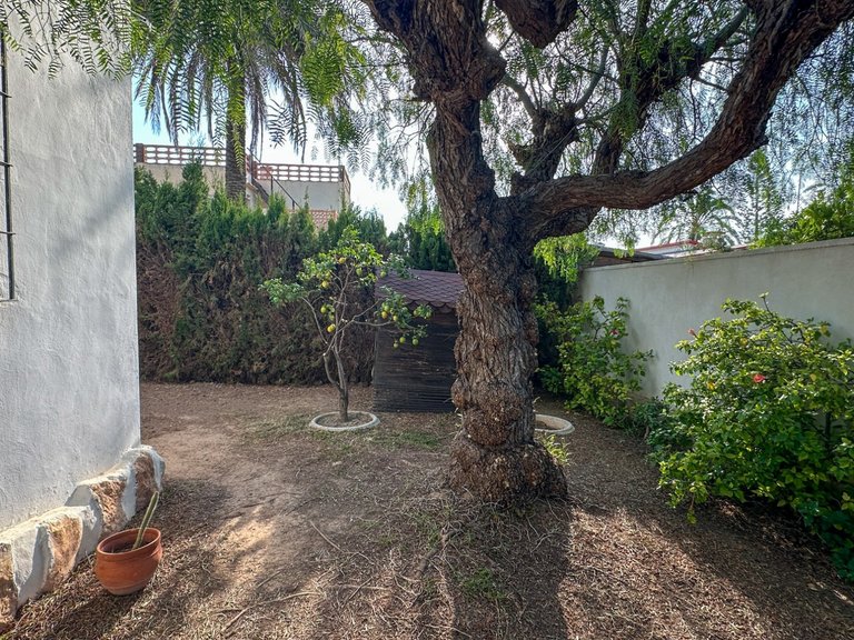 Villa for Sale in Cabo Roig, Alicante 39