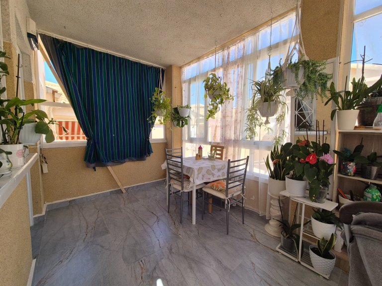 Villa for Sale in Torrevieja, Alicante 4