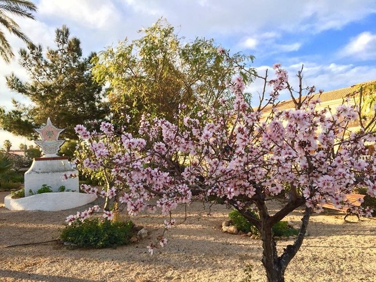 Villa for Sale in Los Urrutias, Murcia 31