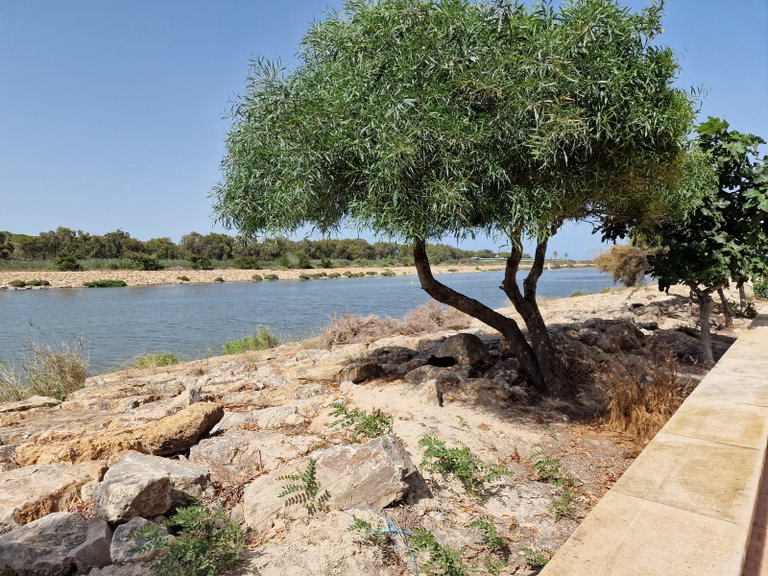 Apartment for Sale in Guardamar Del Segura, Alicante 31