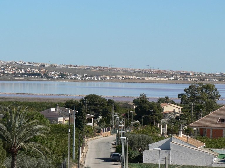 Villa for Sale in Los Montesinos, Alicante 15