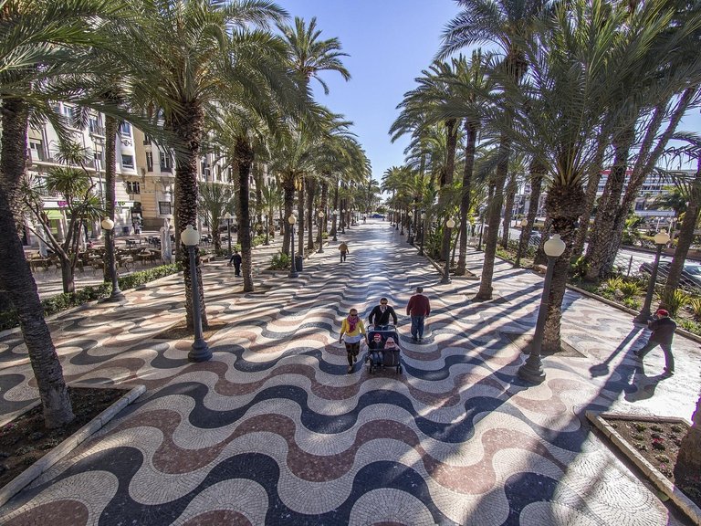 Apartment for Sale in Torrevieja, Alicante 41