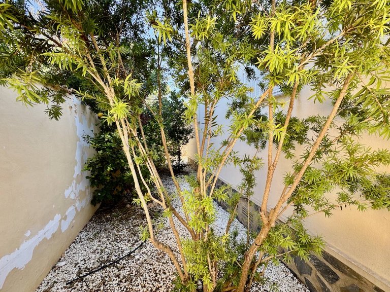 Villa for Sale in Ciudad Quesada, Alicante 22