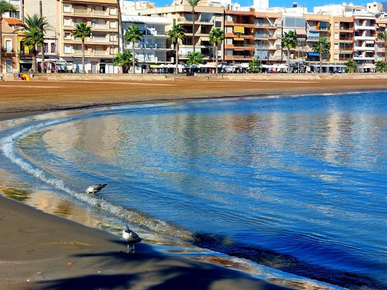Town House for Sale in Fuente Álamo, Murcia 34