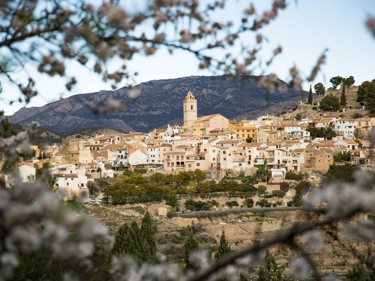 Villa for Sale in Polop, Alicante 13