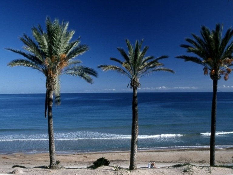 Apartment for Sale in Pilar De La Horadada, Alicante 9