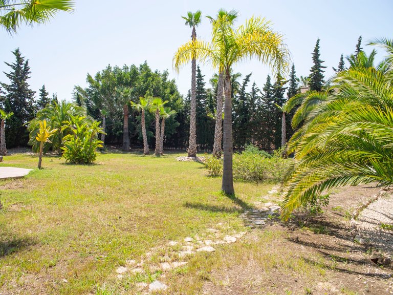 Villa for Sale in Ciudad Quesada, Alicante 5