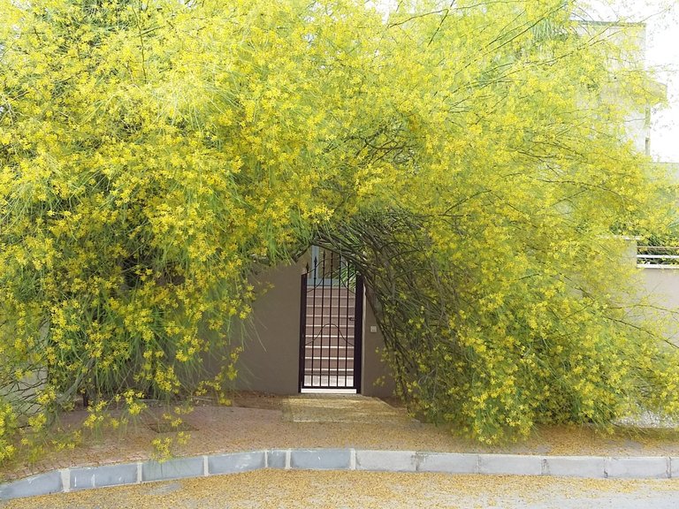 Villa for Sale in Ciudad Quesada, Alicante 44