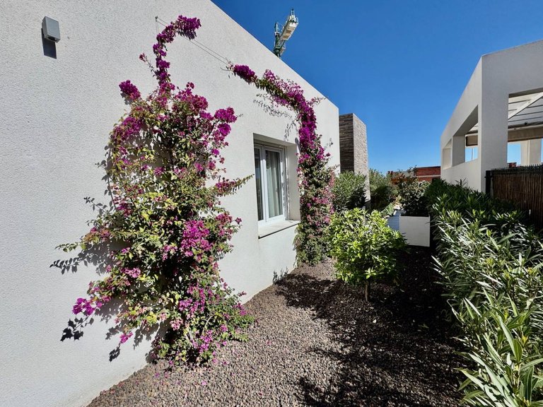 Villa for Sale in Algorfa, Alicante 24