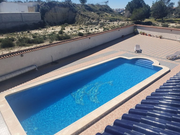 Villa for Sale in Algorfa, Alicante 3